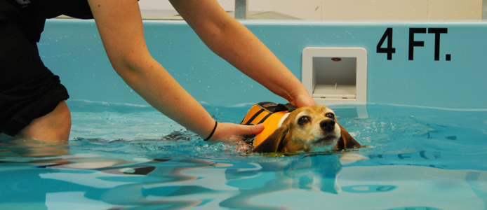 Oramorph Rehab Treatment CenterNorth Bend OR